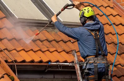 Démoussage et hydrofuge de toiture à Beaumont